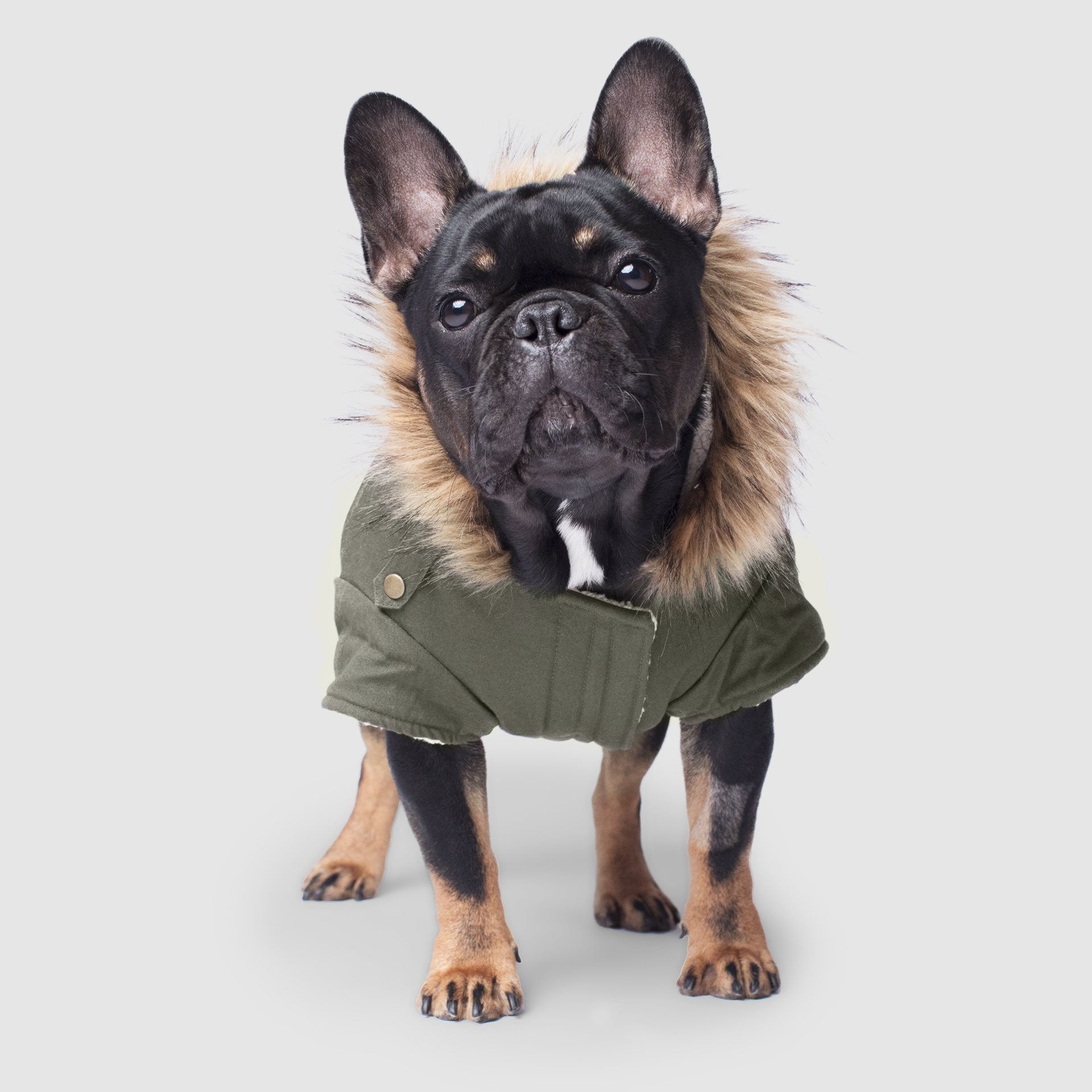 Alaskan Army Parka - U5KH