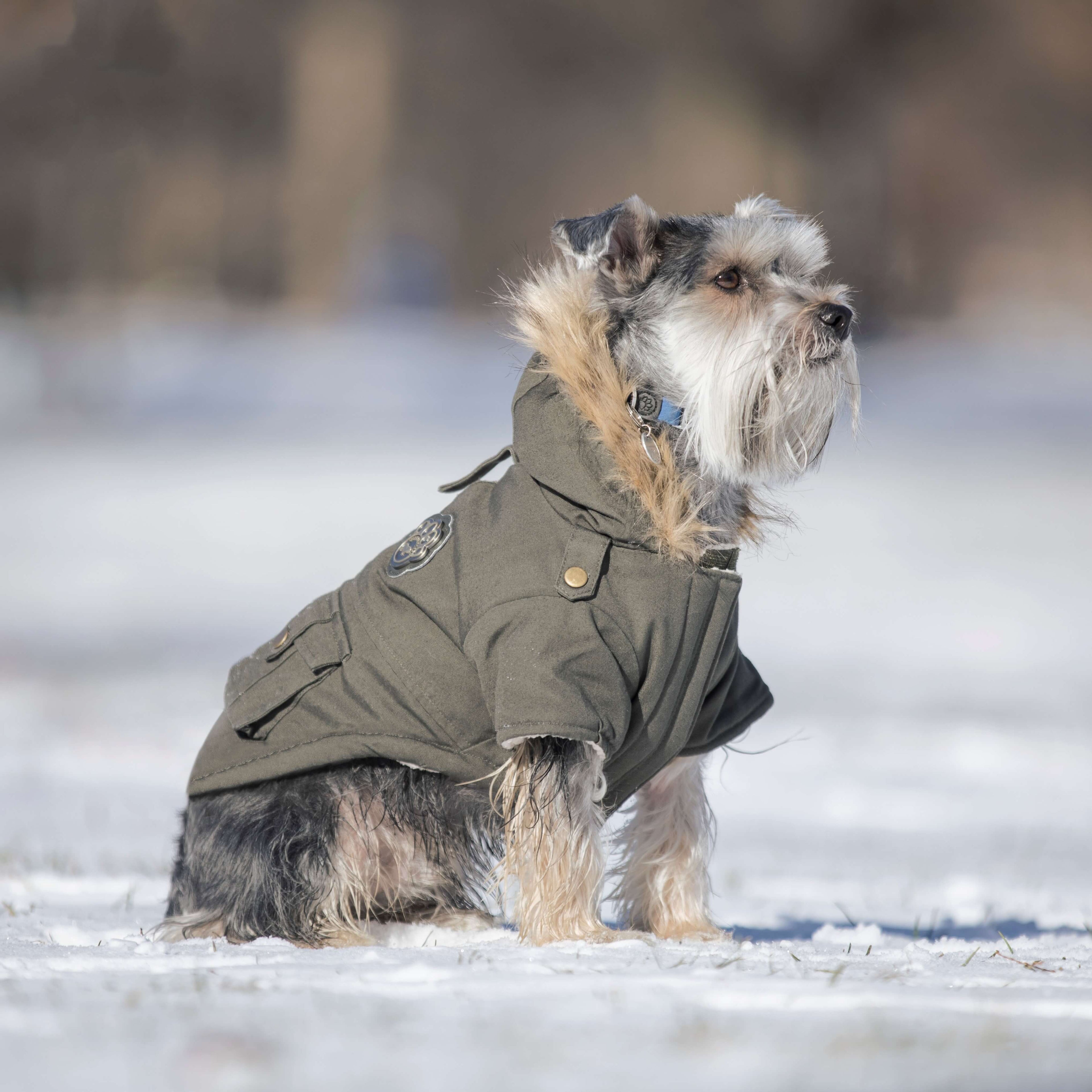 Alaskan Army Parka - U5KH
