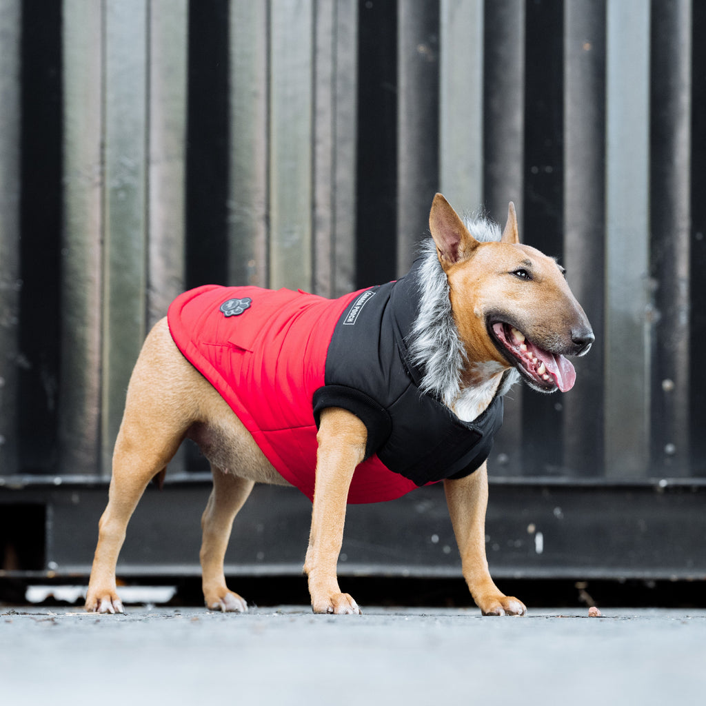 True North Parka - 5K3G
