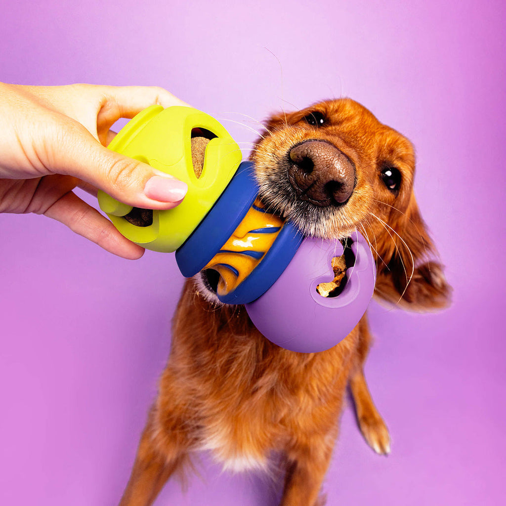 The Starter Stack - 73XG