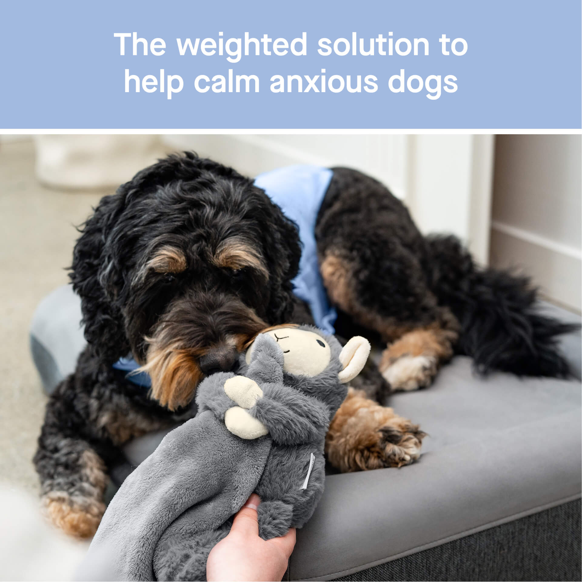 Weighted Calming Toy - WV33