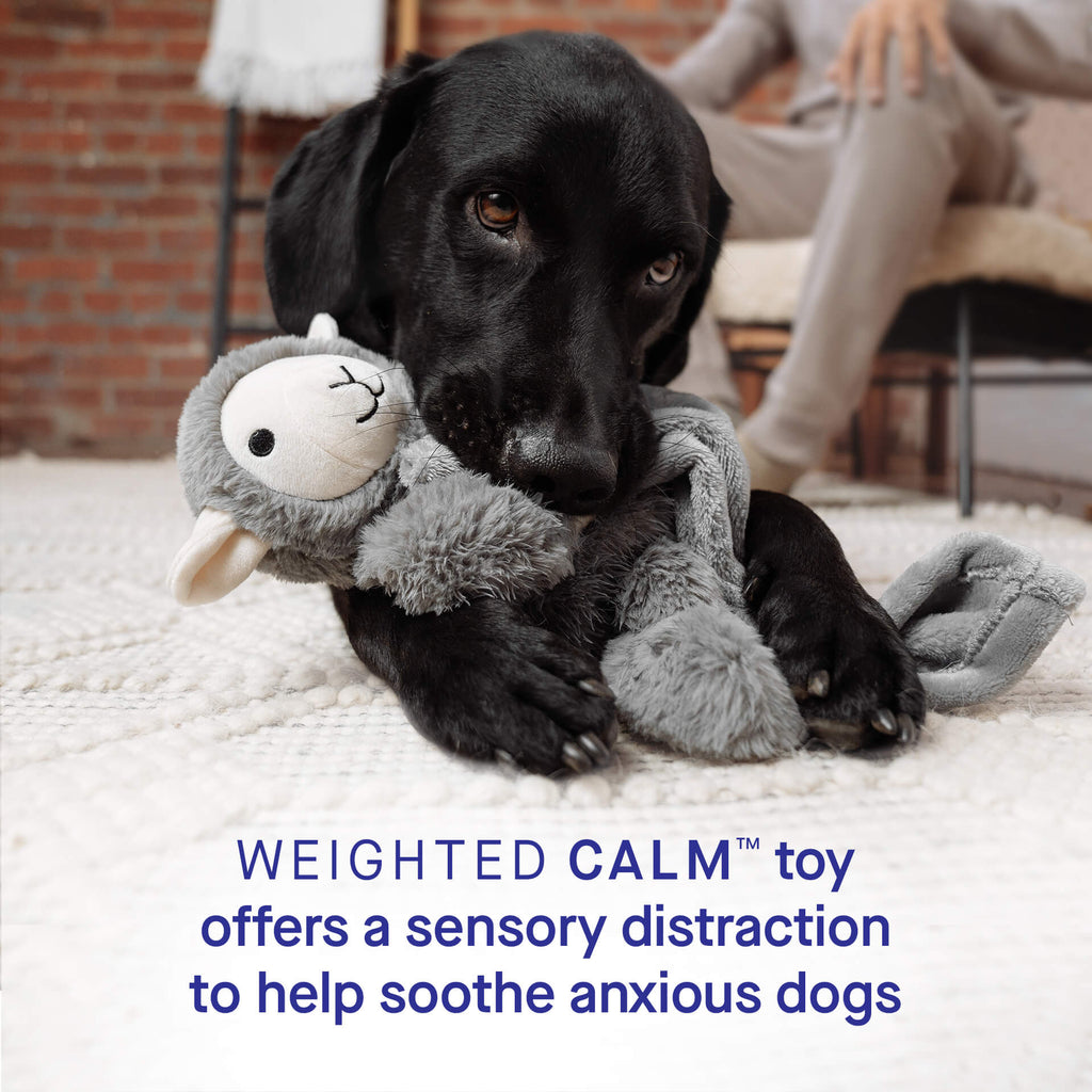 Weighted Calming Toy - WV33