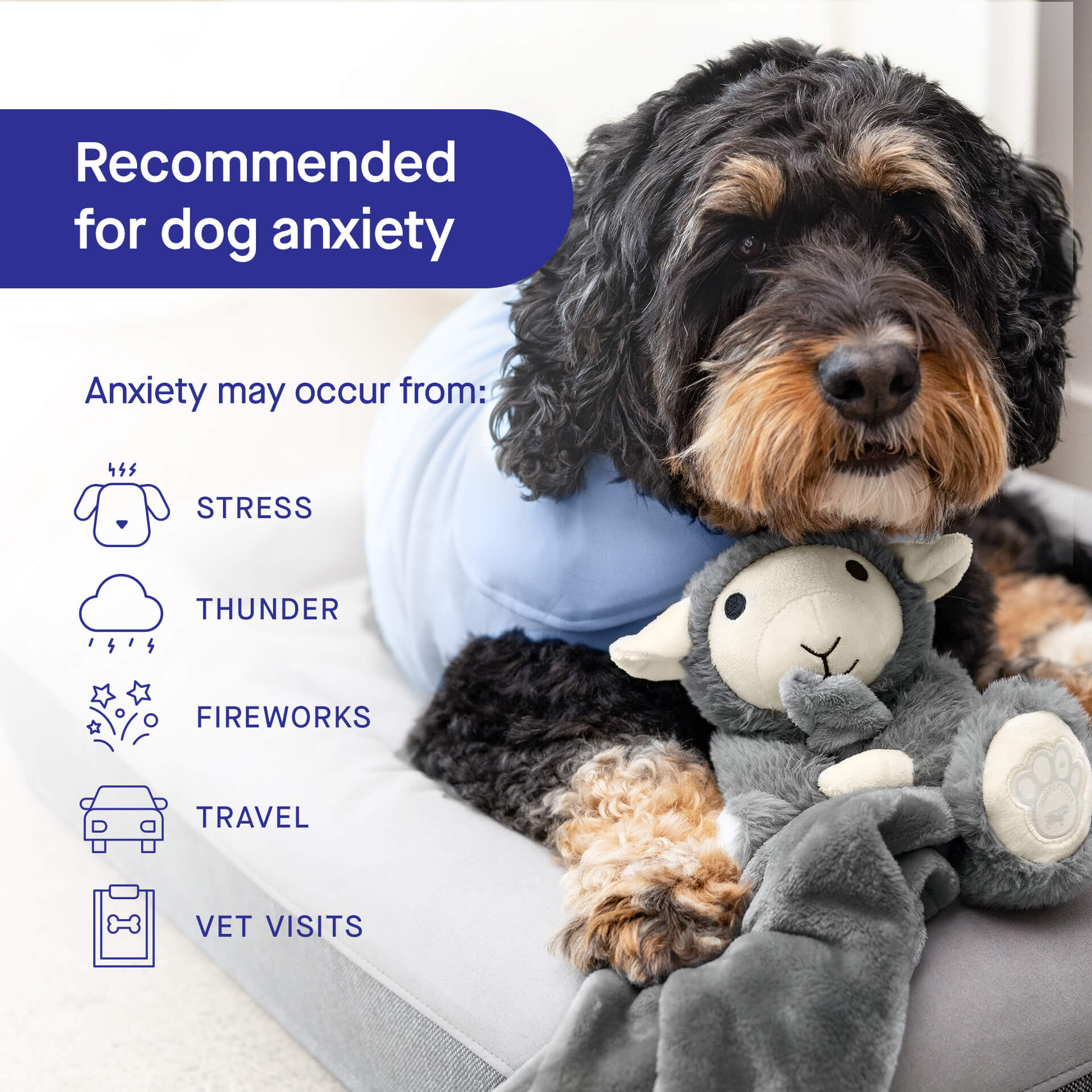 Weighted Calming Toy - WV33