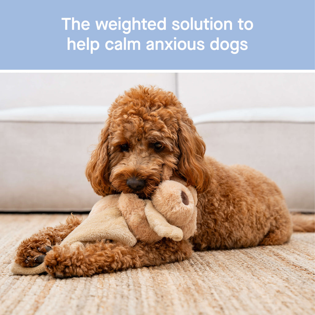 Weighted Calming Toy - WV33
