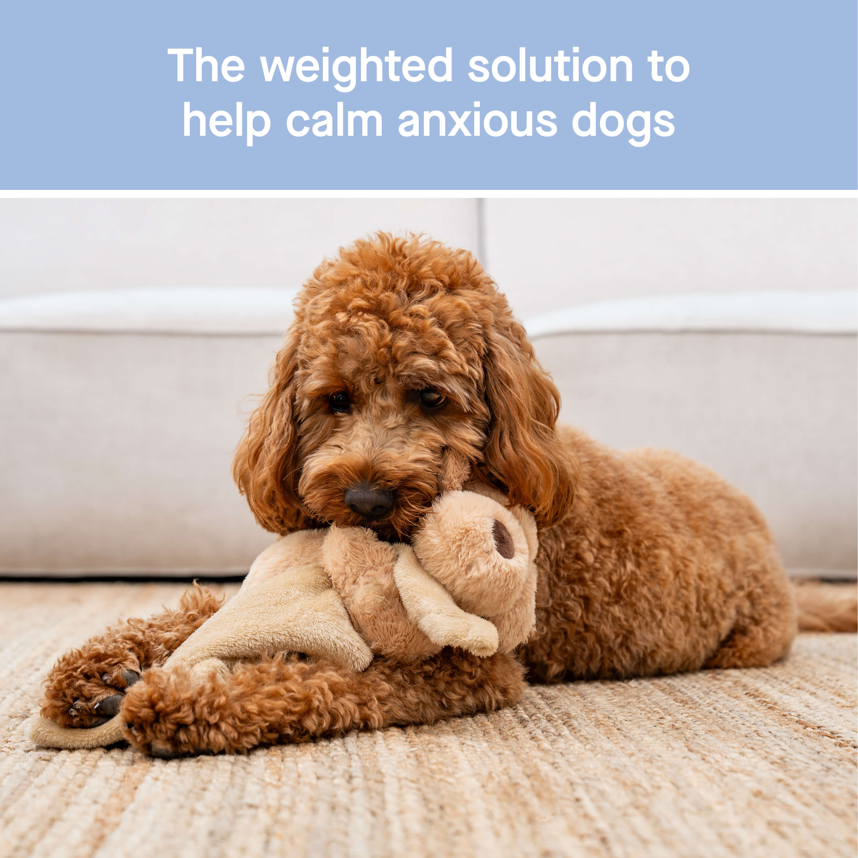 Weighted Calming Toy - WV33