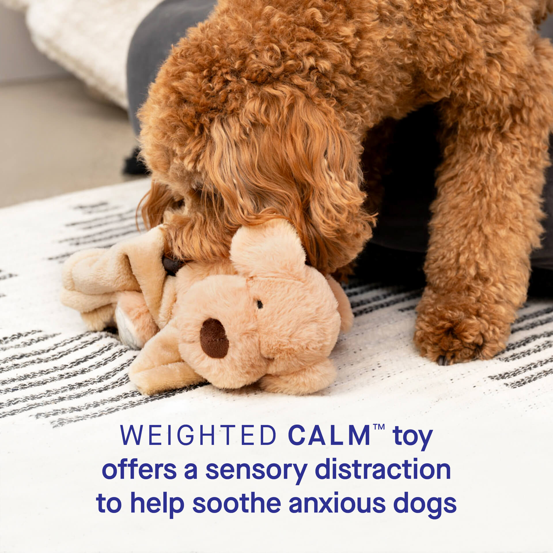 Weighted Calming Toy - WV33