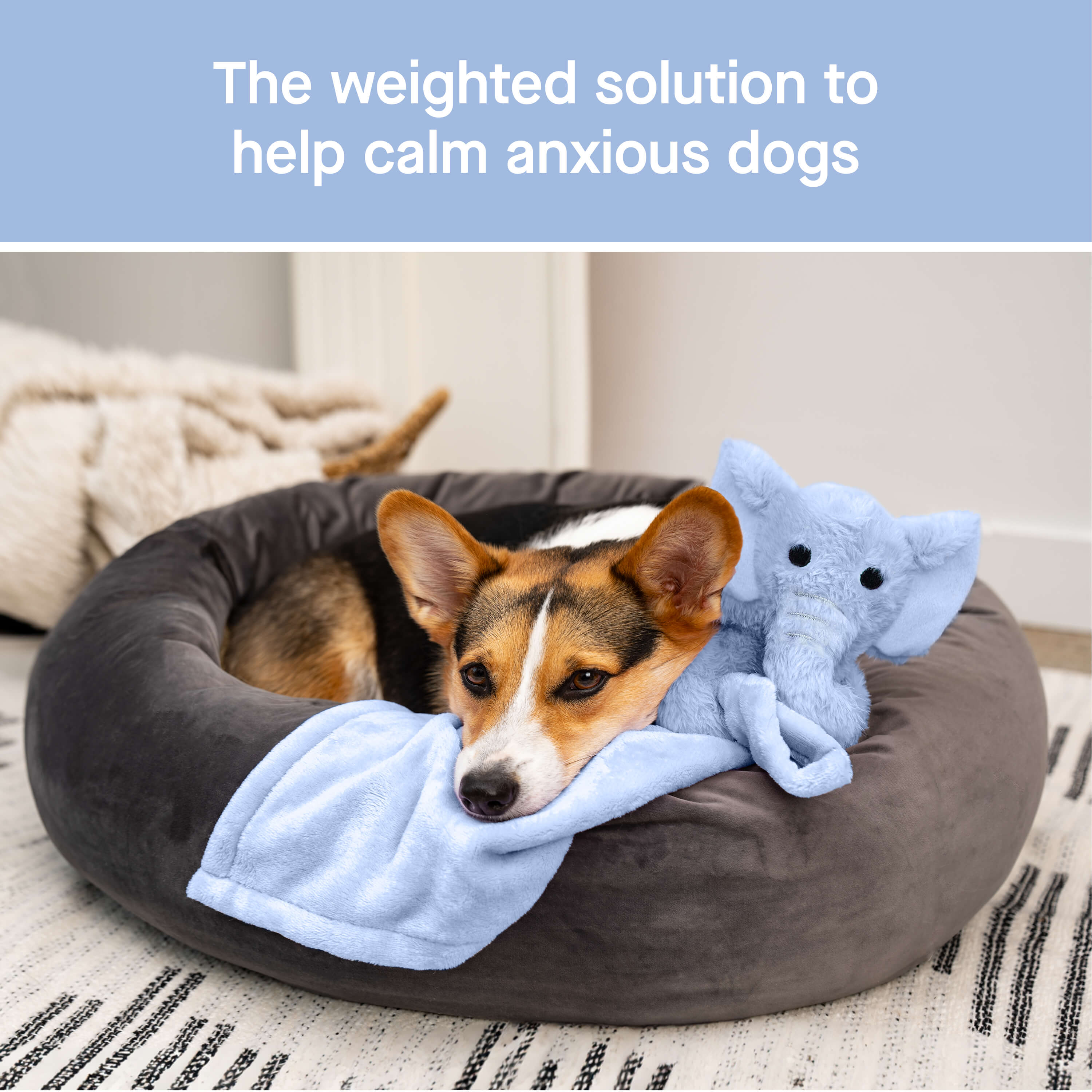 Weighted Calming Toy - WV33