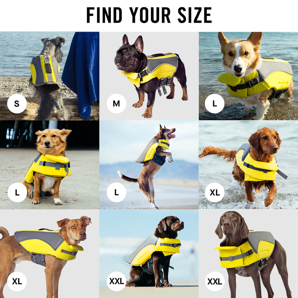 Wave Rider Life Jacket - DVGP