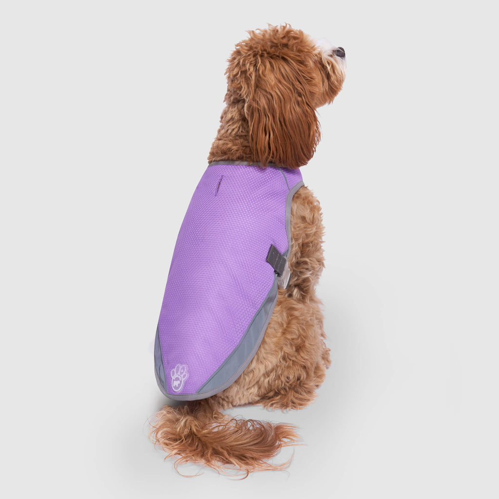 Chill Seeker Cooling Vest Wet Reveal - AQ60