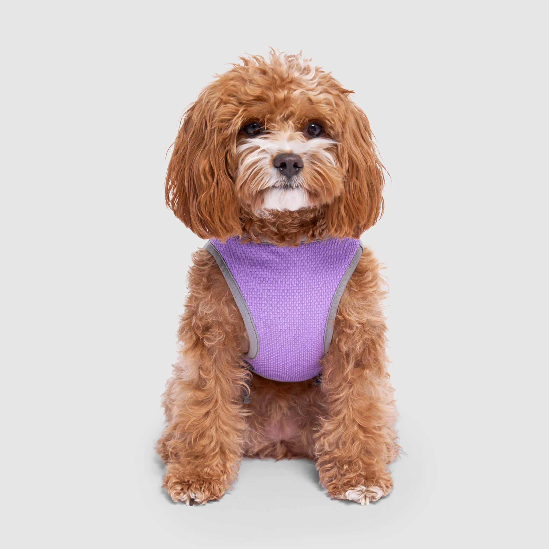 Chill Seeker Cooling Vest Wet Reveal - AQ60