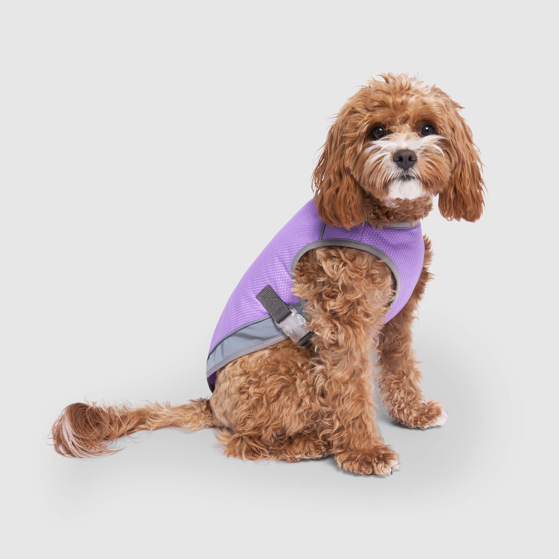 Chill Seeker Cooling Vest Wet Reveal - AQ60