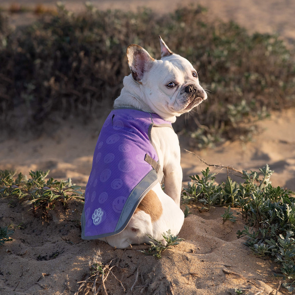 Chill Seeker Cooling Vest Wet Reveal - AQ60