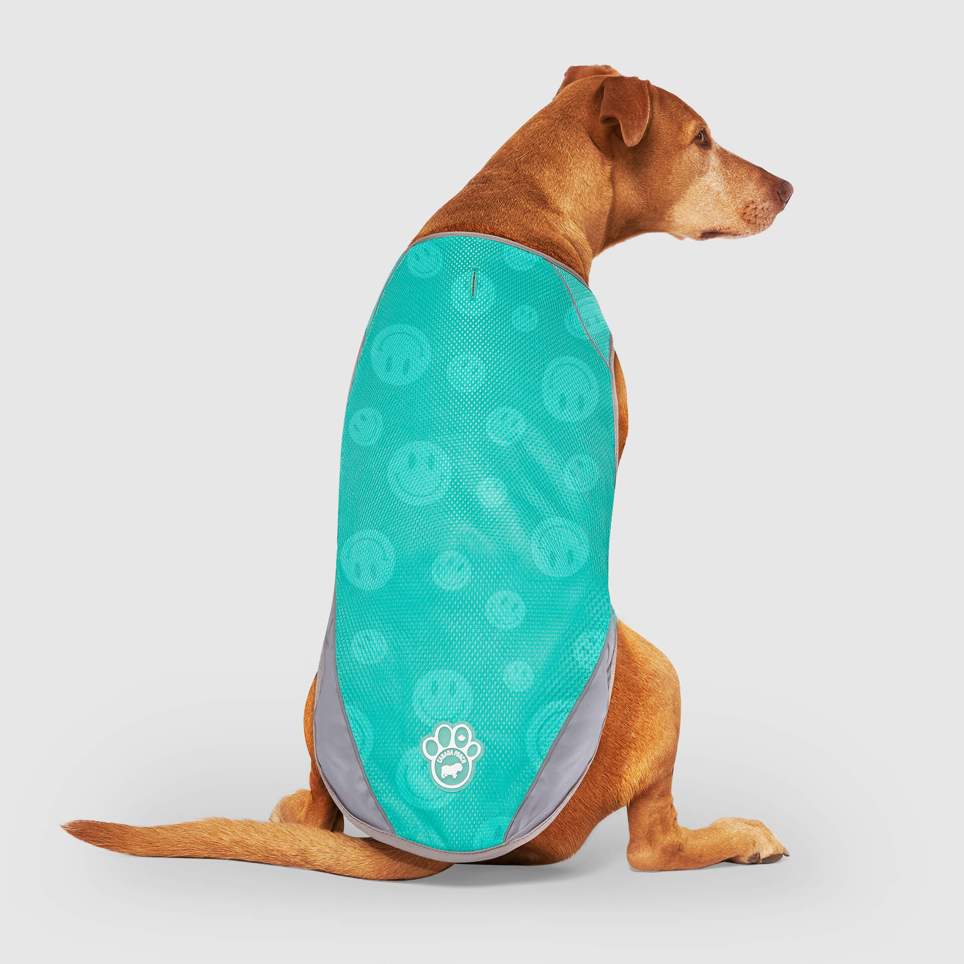 Chill Seeker Cooling Vest Wet Reveal - AQ60