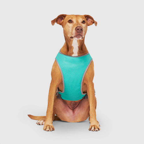 Chill Seeker Cooling Vest Wet Reveal - AQ60