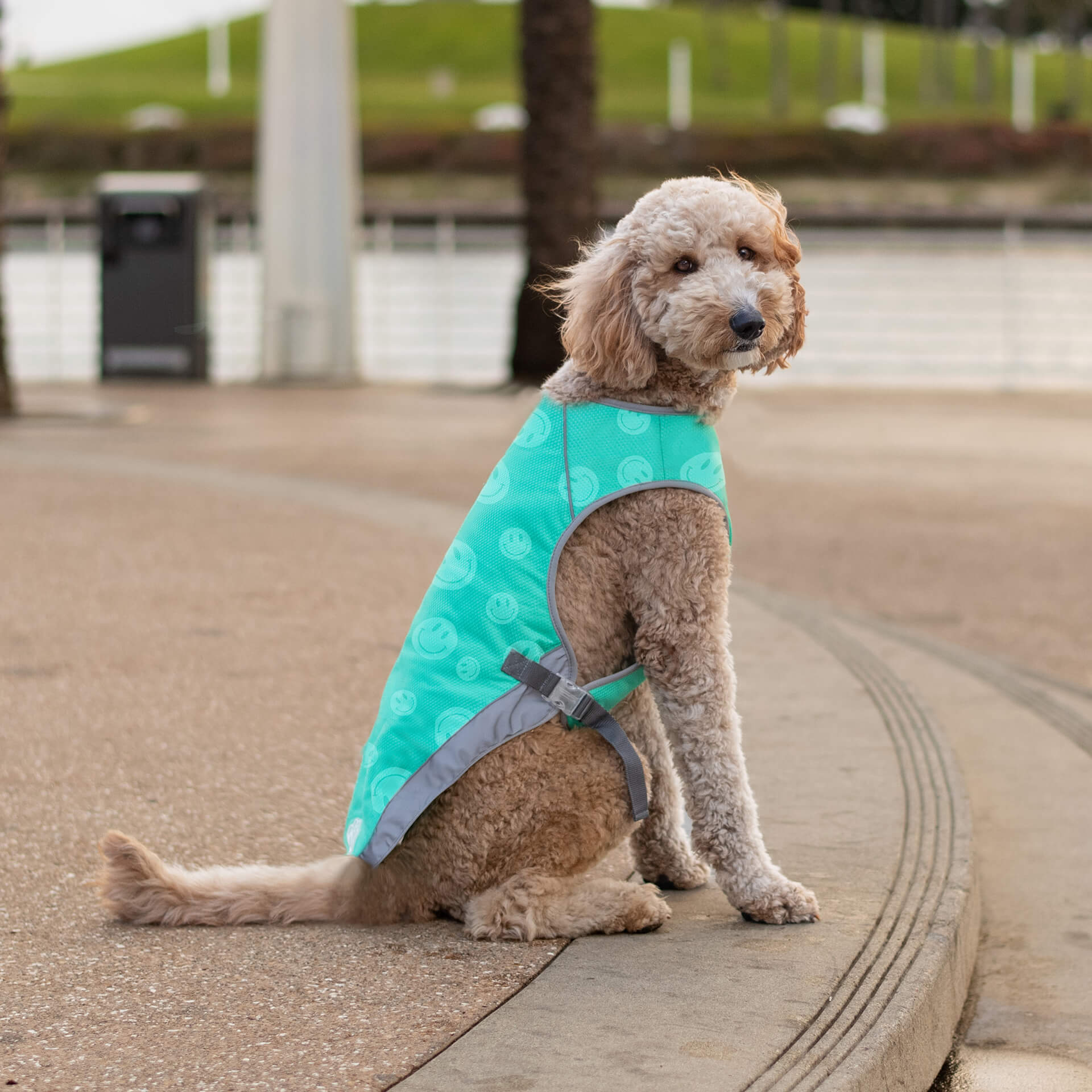 Chill Seeker Cooling Vest Wet Reveal - AQ60