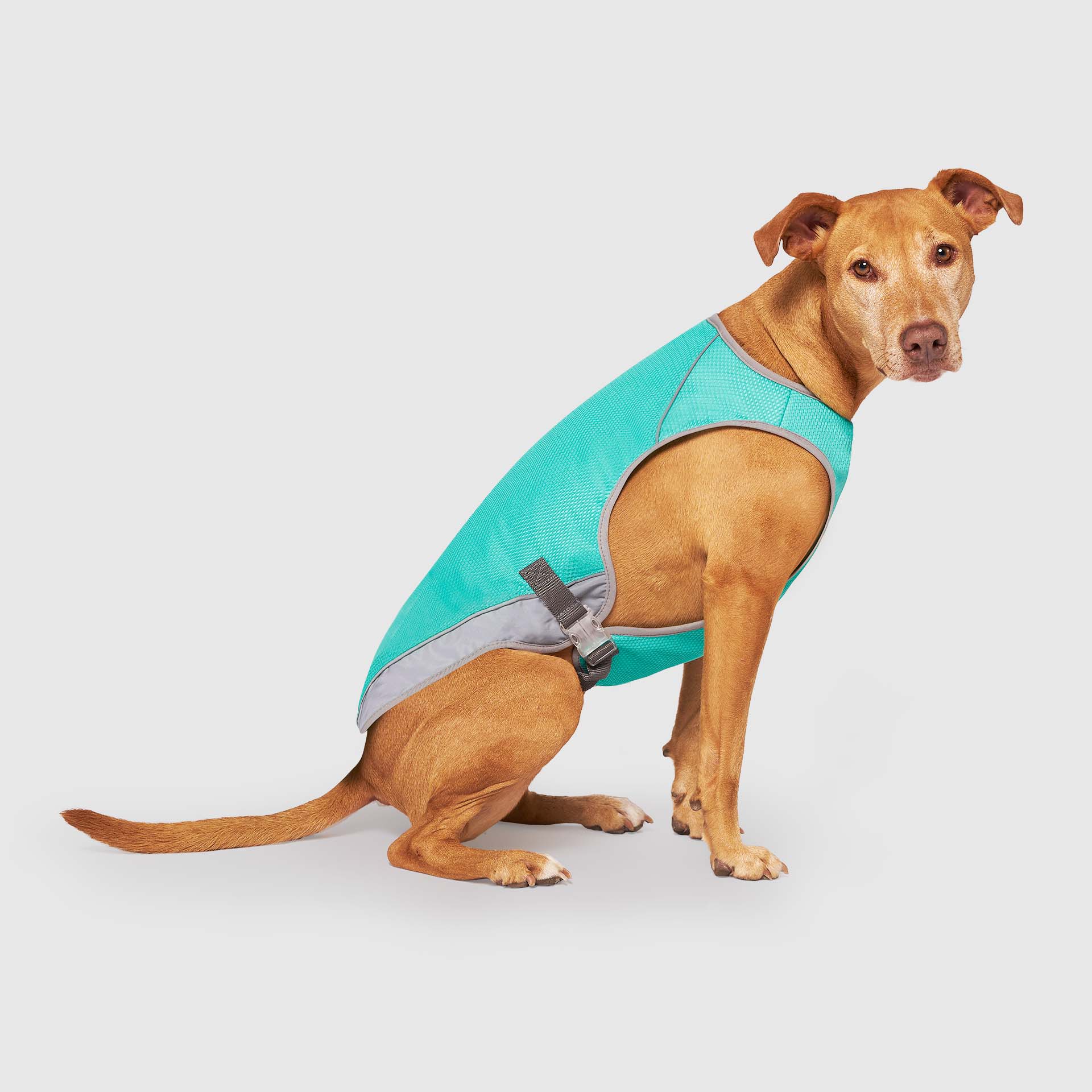 Chill Seeker Cooling Vest Wet Reveal - AQ60