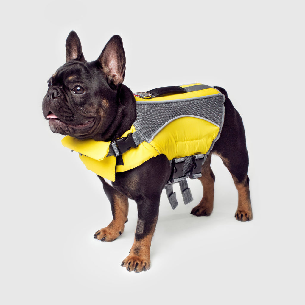 Wave Rider Life Jacket - DVGP