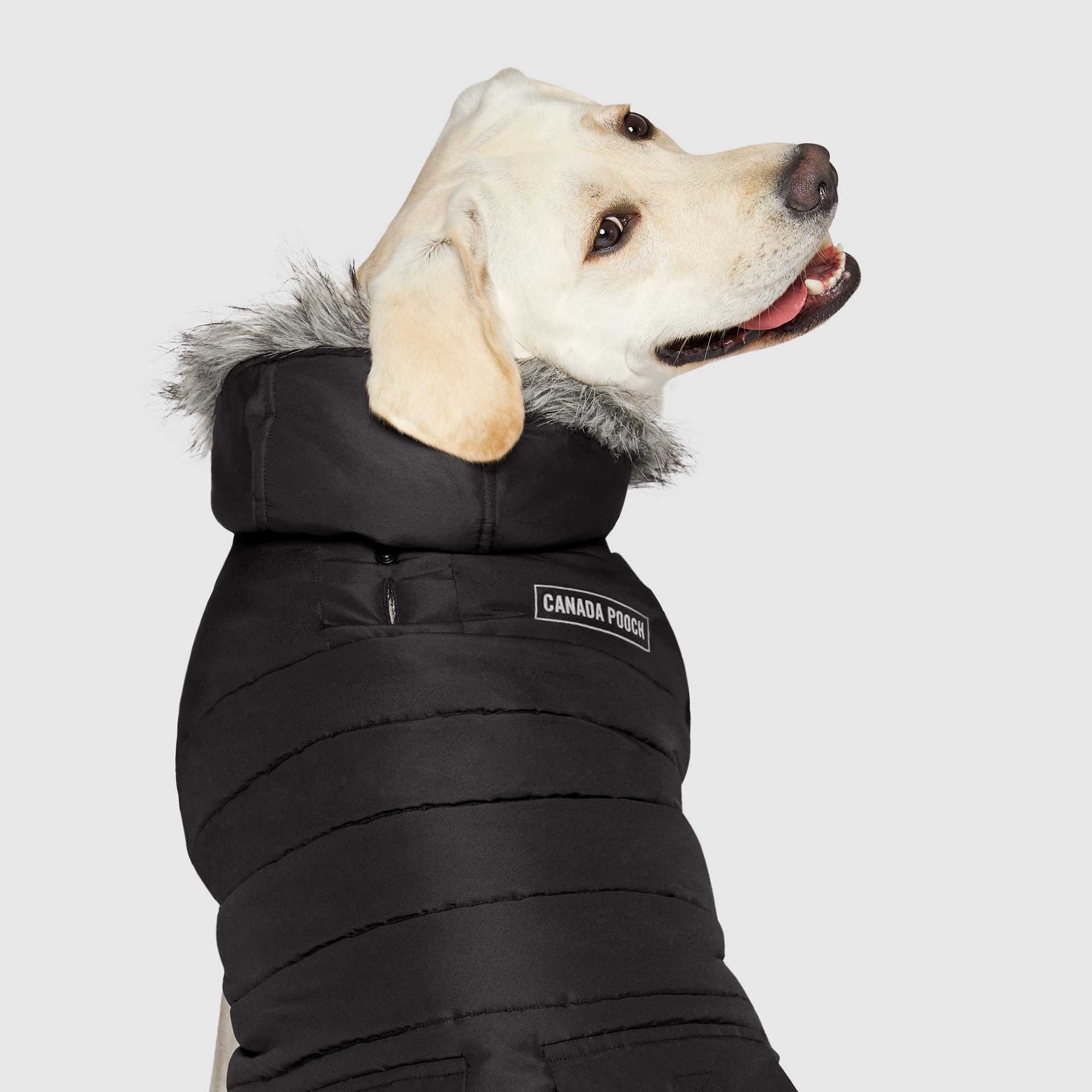 True North Parka - 5K3G