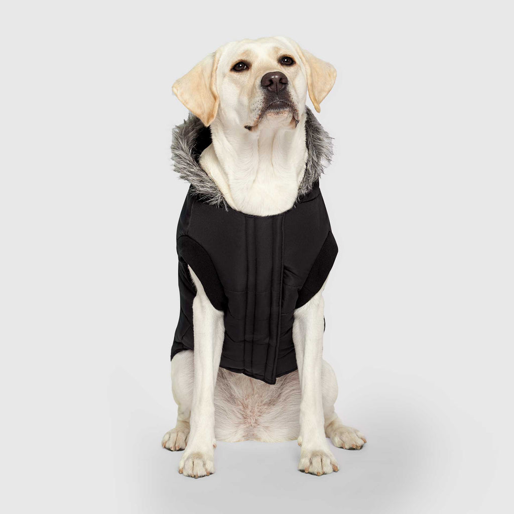 True North Parka - 5K3G