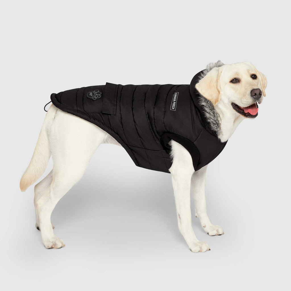 True North Parka - 5K3G