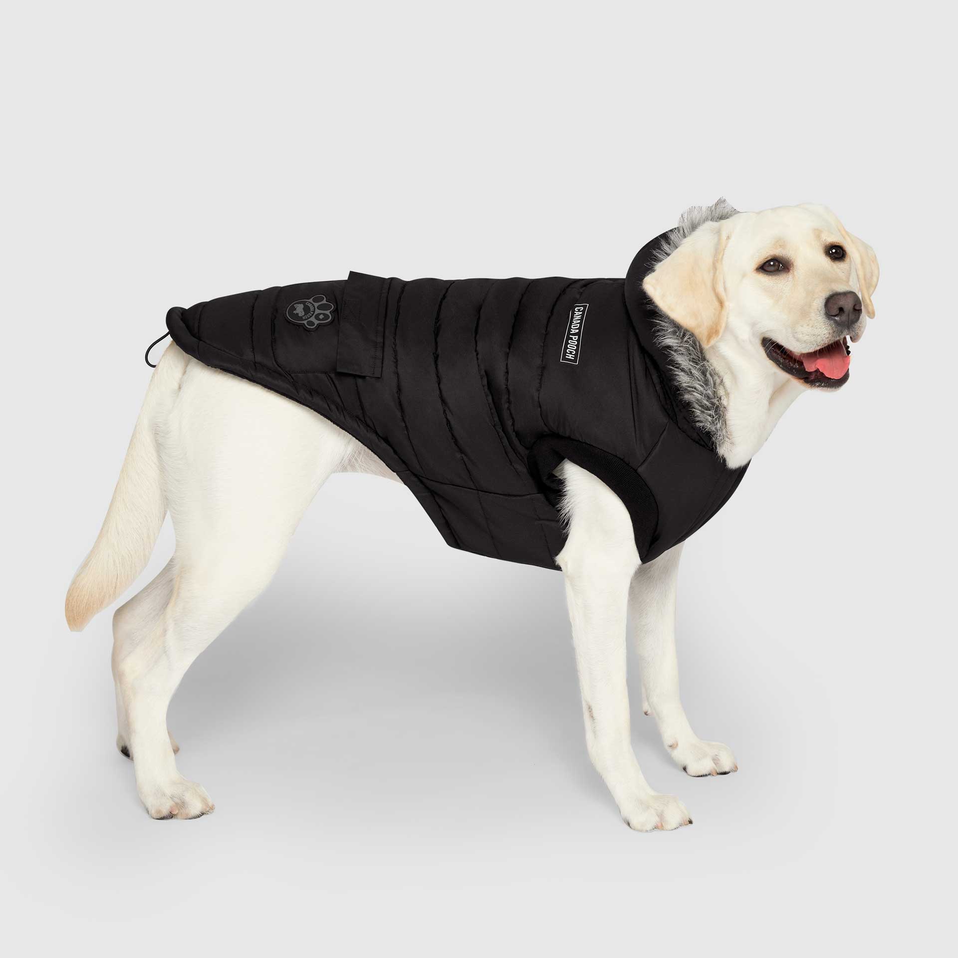 True North Parka - 5K3G