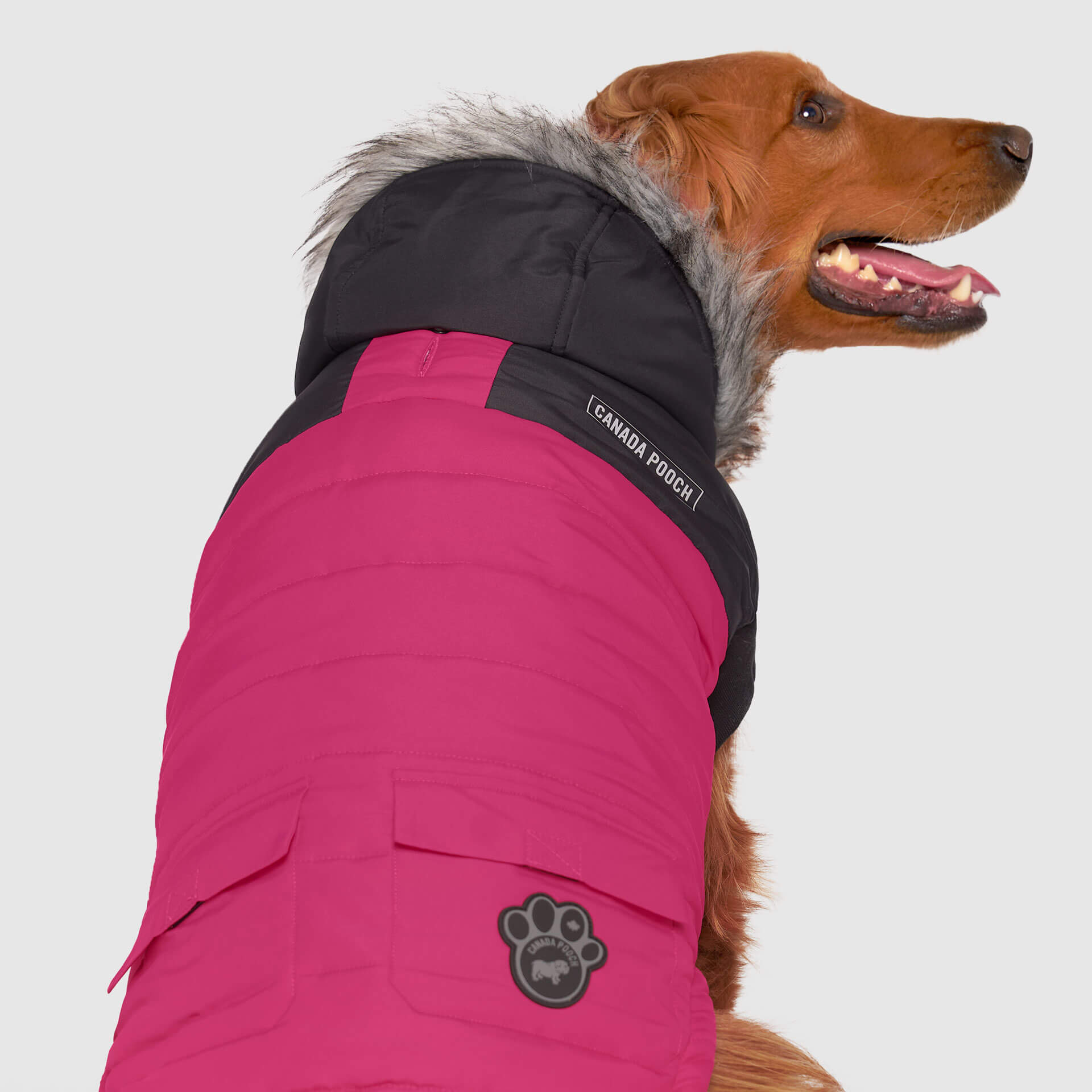 True North Parka - 5K3G