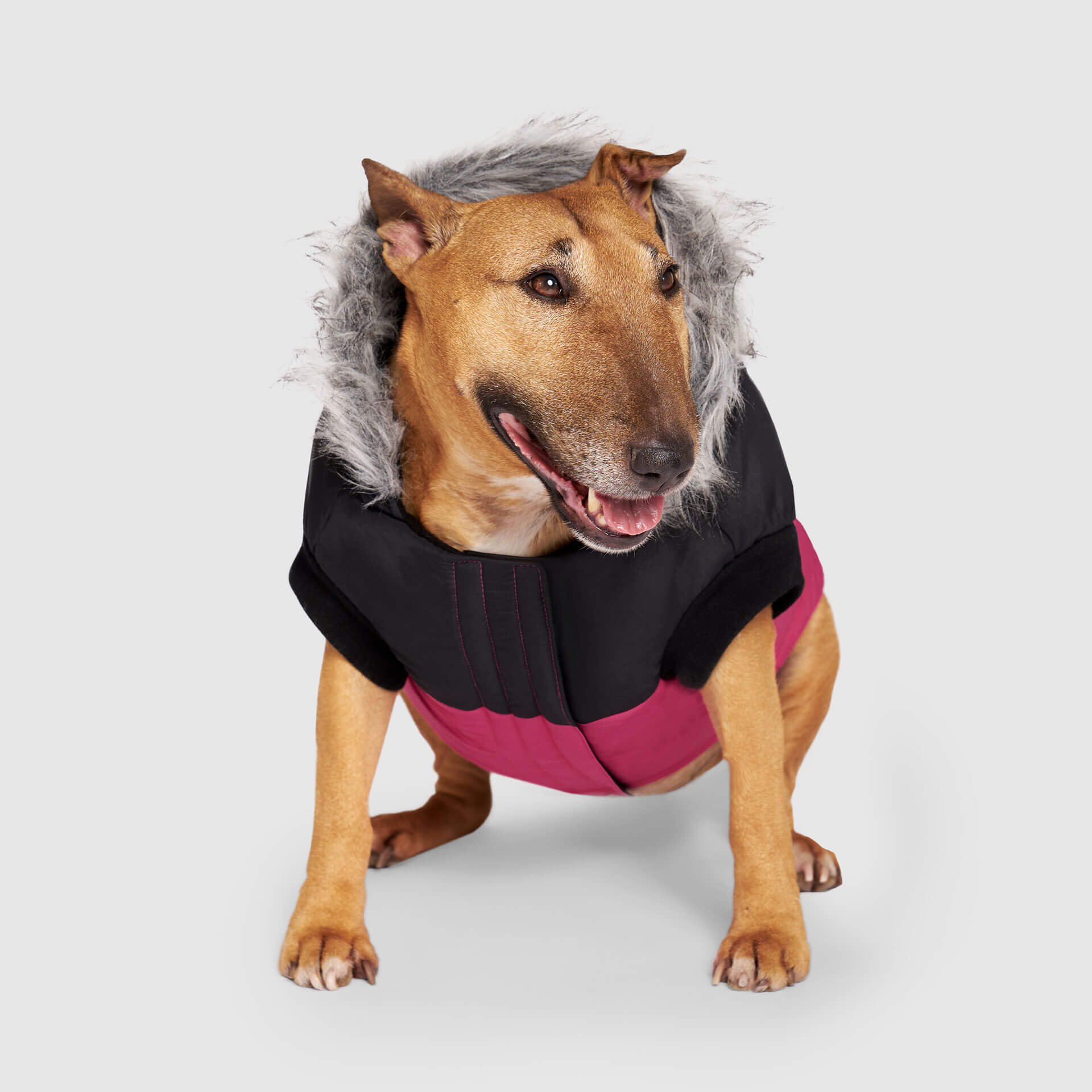 True North Parka - 5K3G