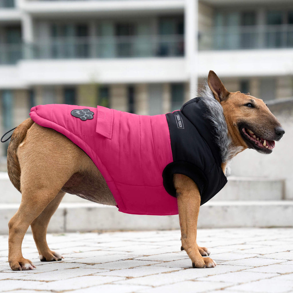 True North Parka - 5K3G
