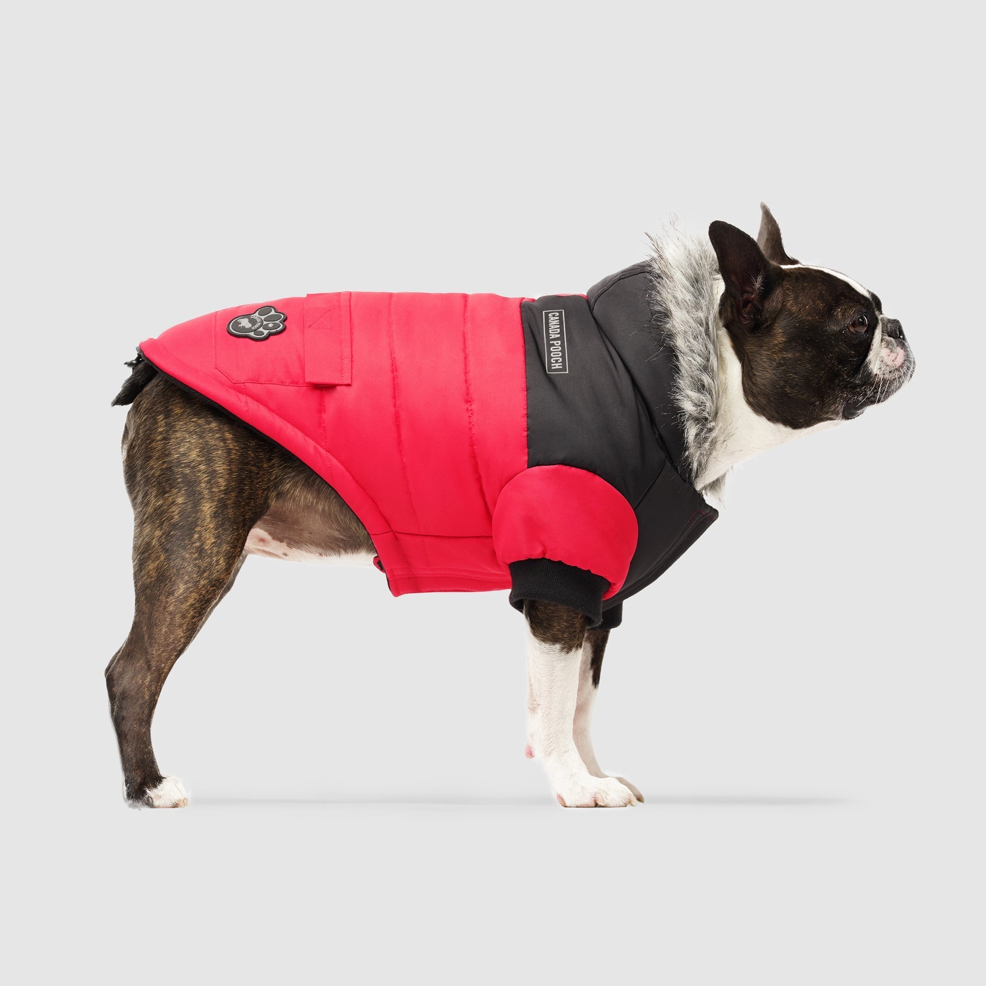 True North Parka - 5K3G