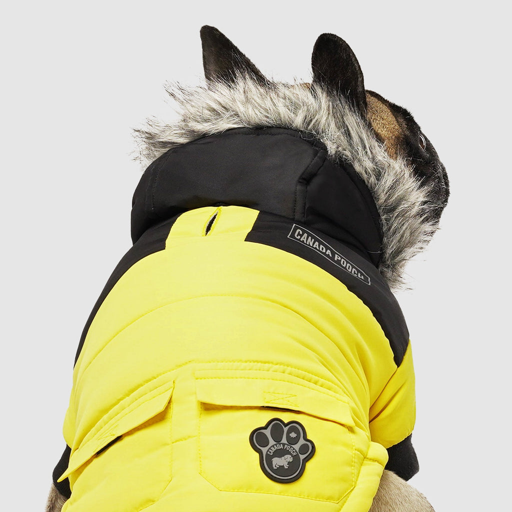 True North Parka - 5K3G