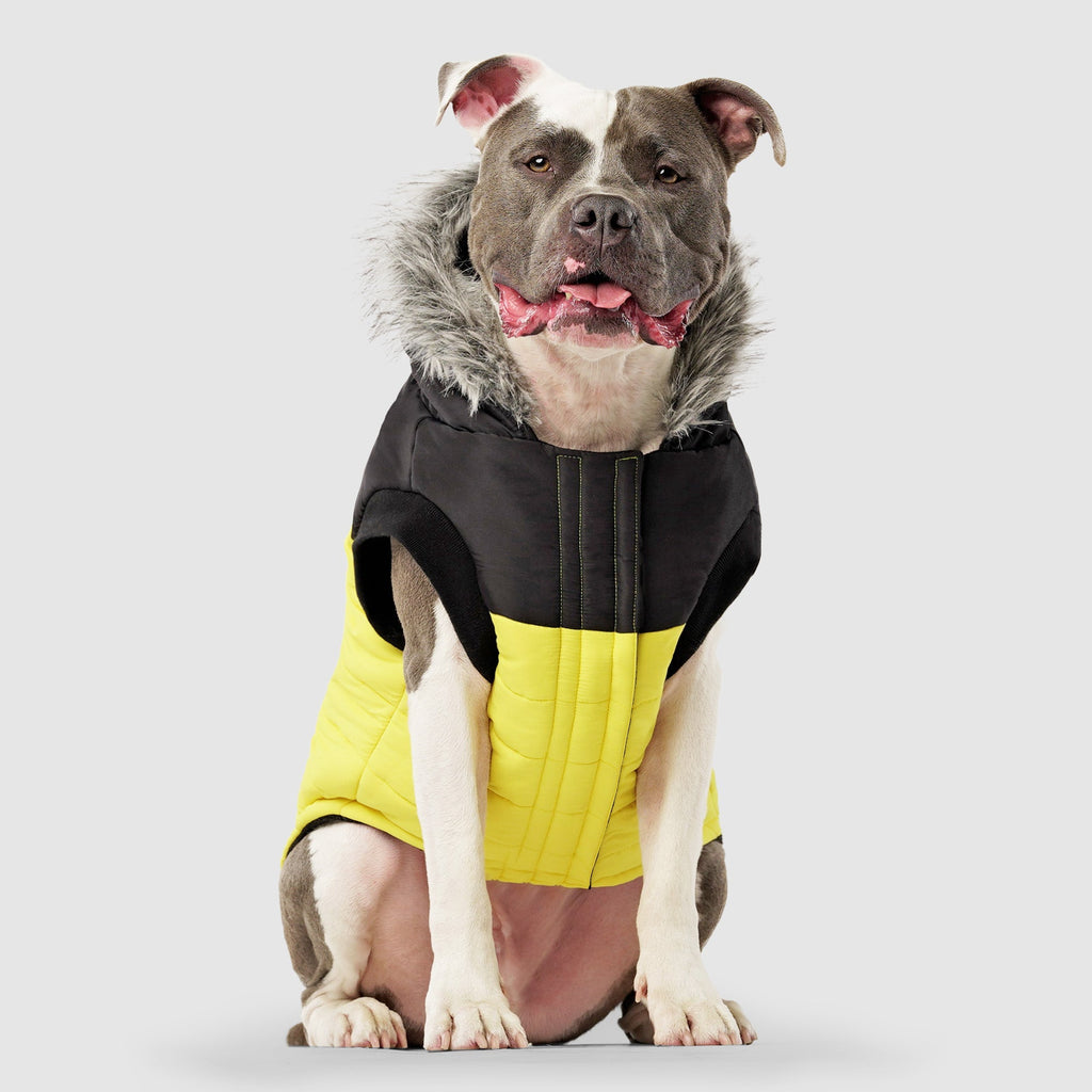 True North Parka - 5K3G