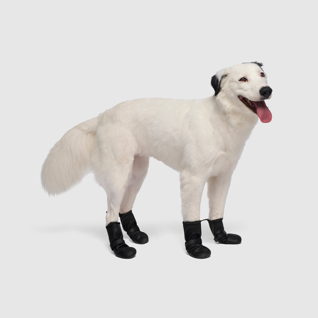 Waterproof Rain Boots - 16FL