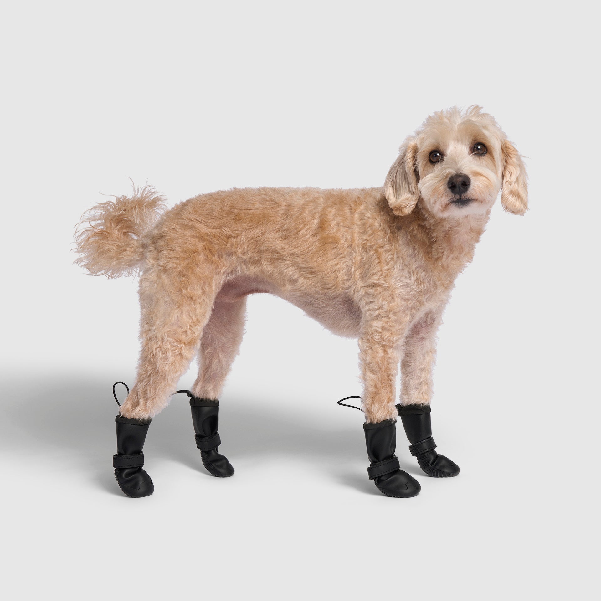 Waterproof Rain Boots - 16FL