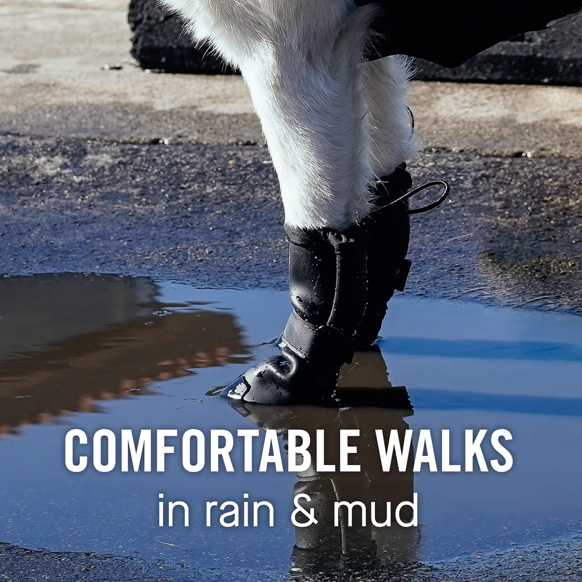 Waterproof Rain Boots - 16FL