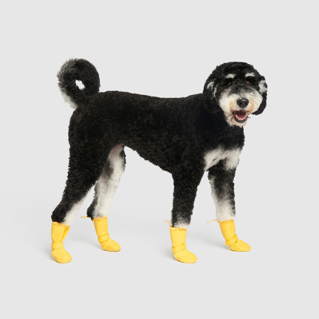 Waterproof Rain Boots - 16FL