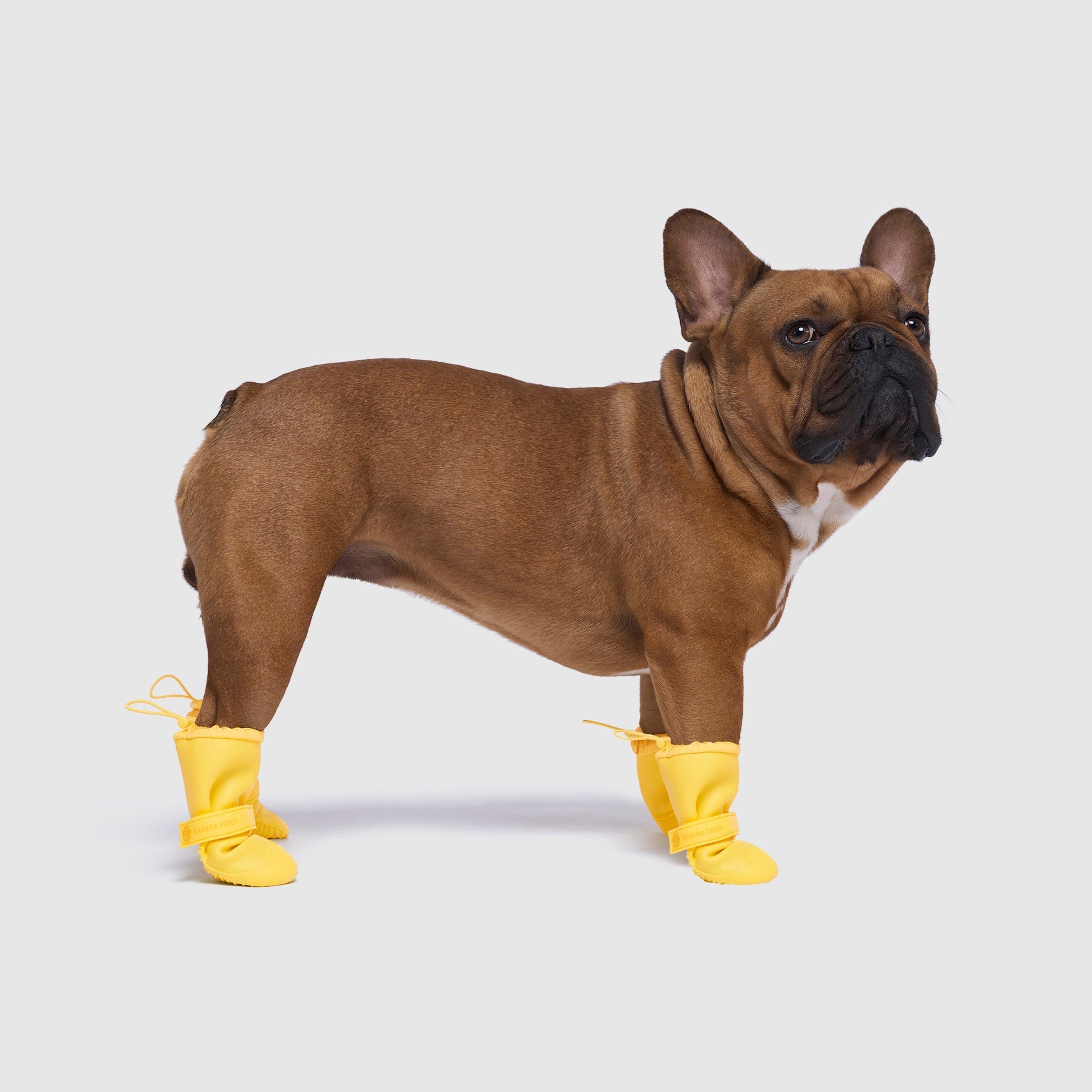 Waterproof Rain Boots - 16FL