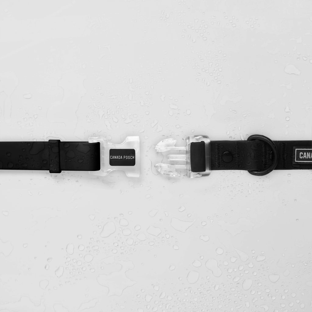 Waterproof Collar - 39C9