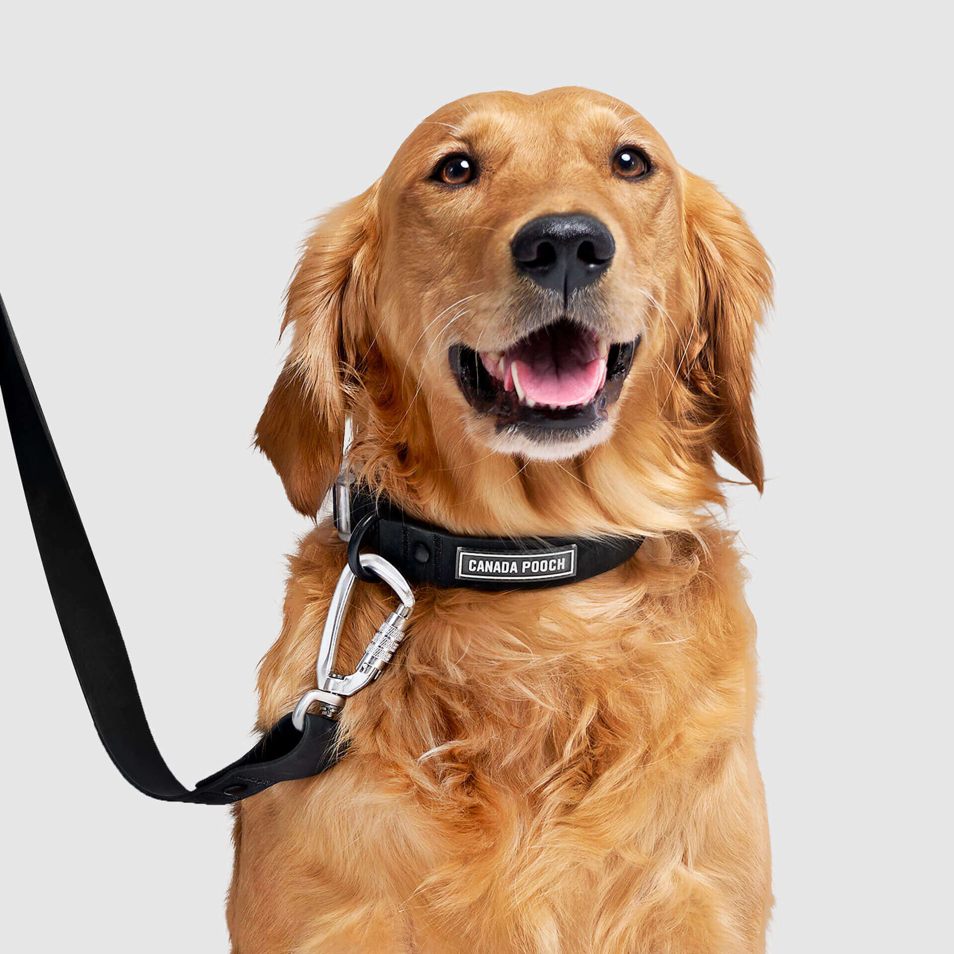Waterproof Collar - 39C9