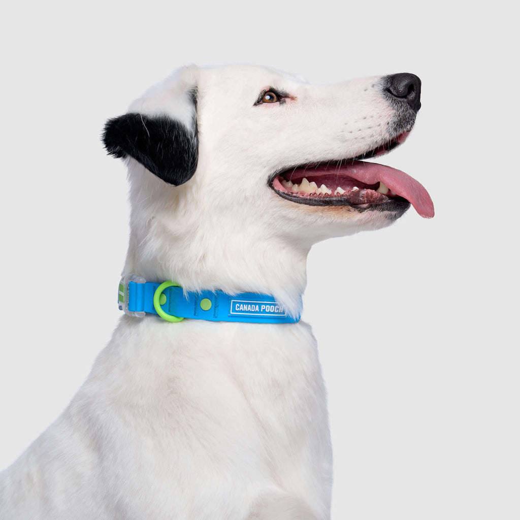 Waterproof Collar - 39C9