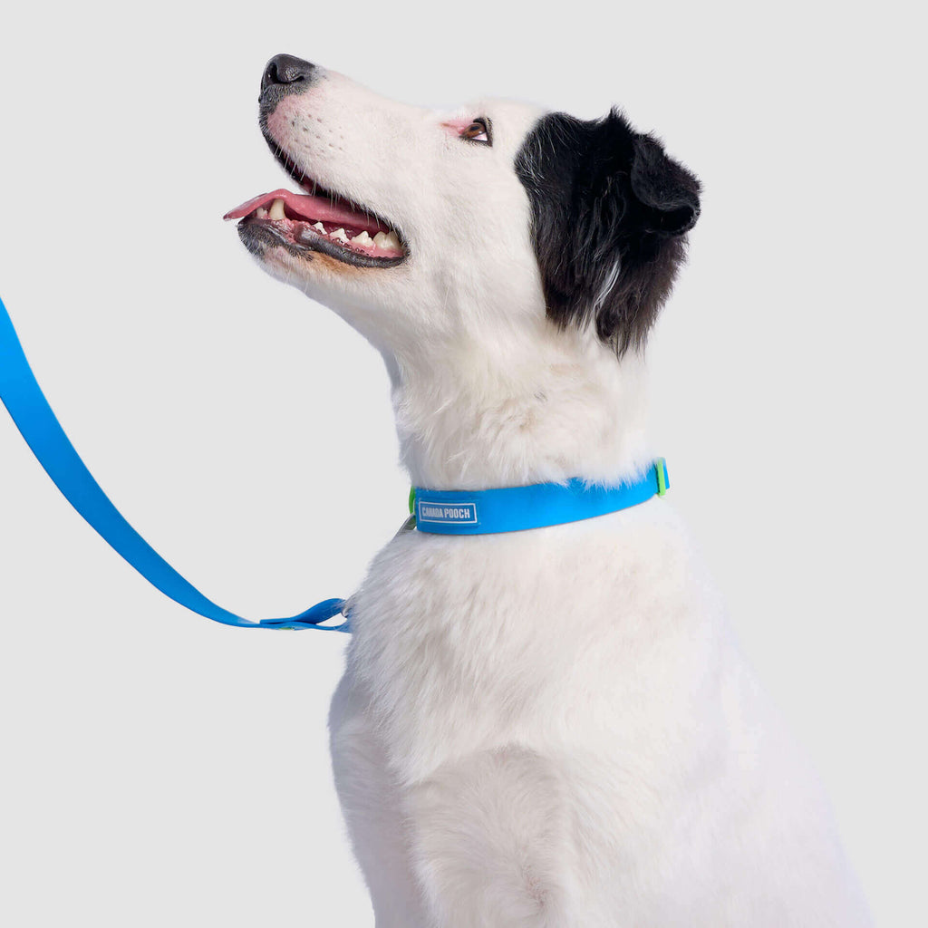 Waterproof Collar - 39C9