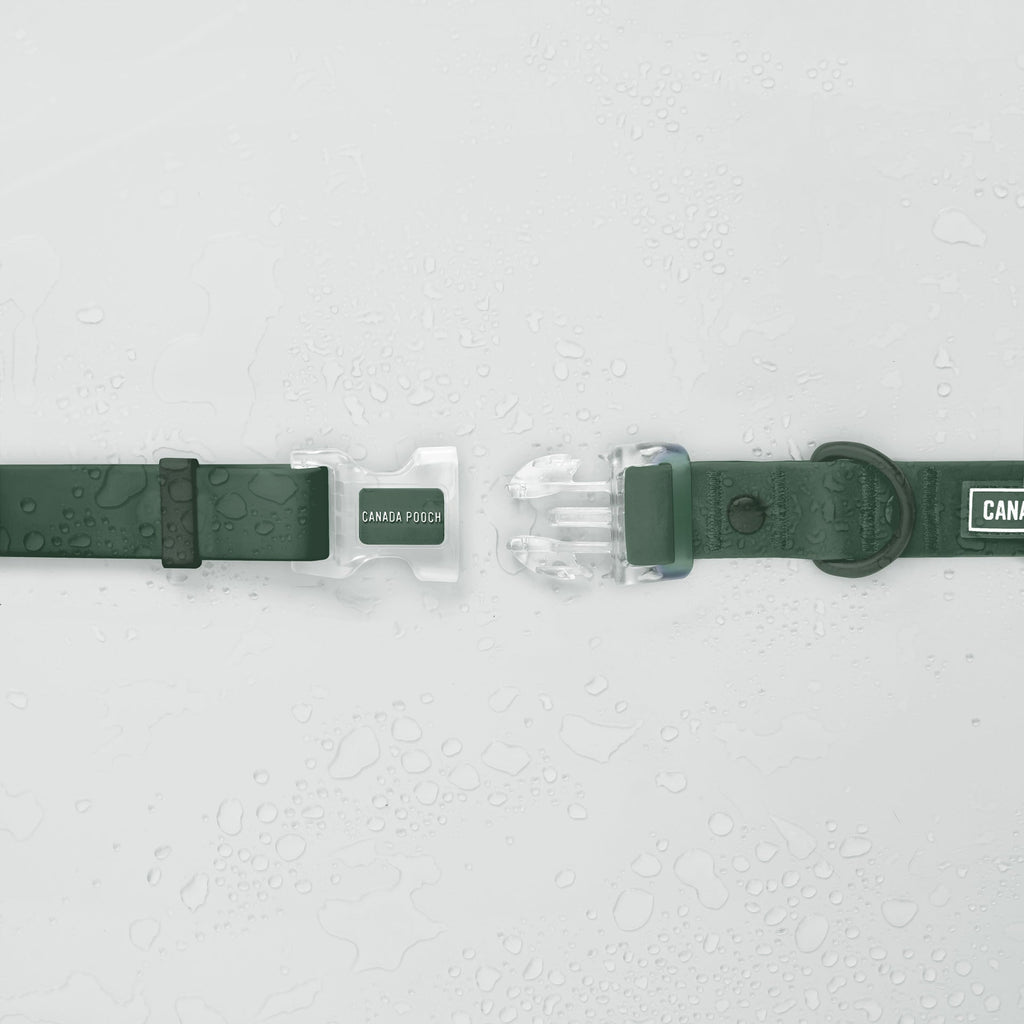 Waterproof Collar - 39C9