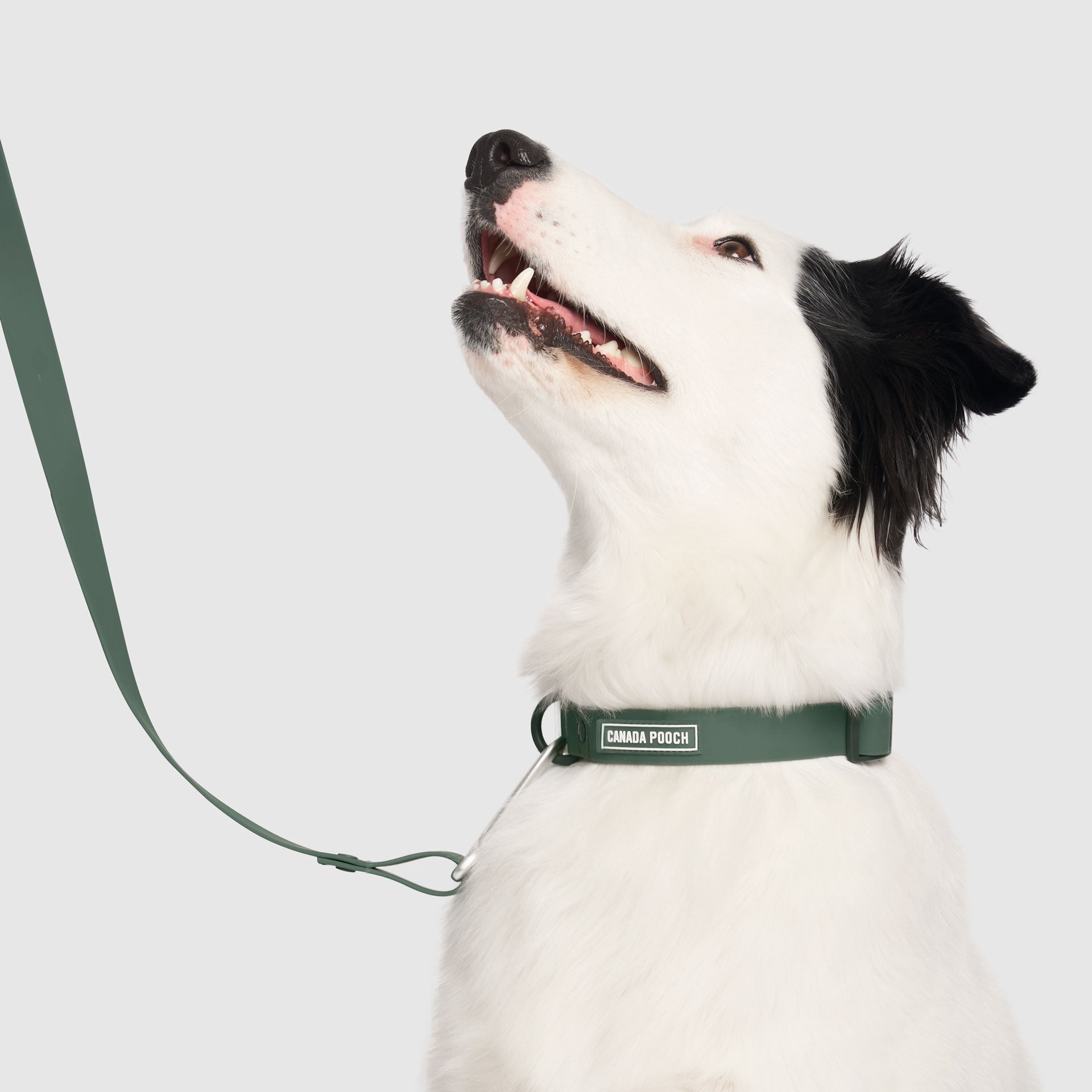 Waterproof Collar - 39C9