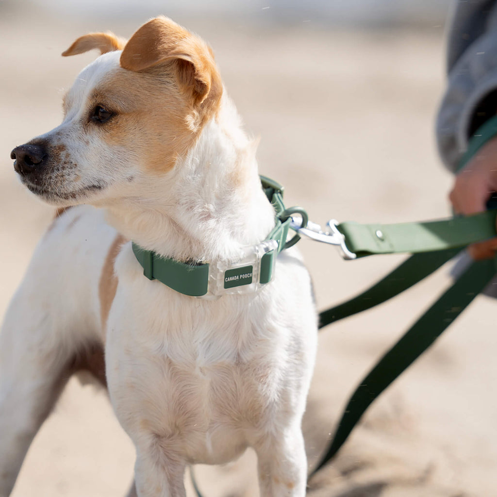 Waterproof Collar - 39C9