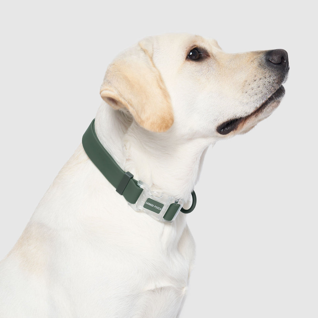 Waterproof Collar - 39C9