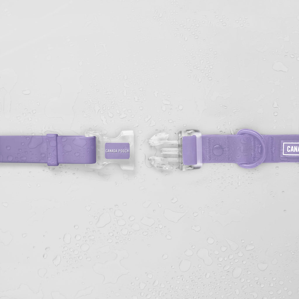 Waterproof Collar - 39C9