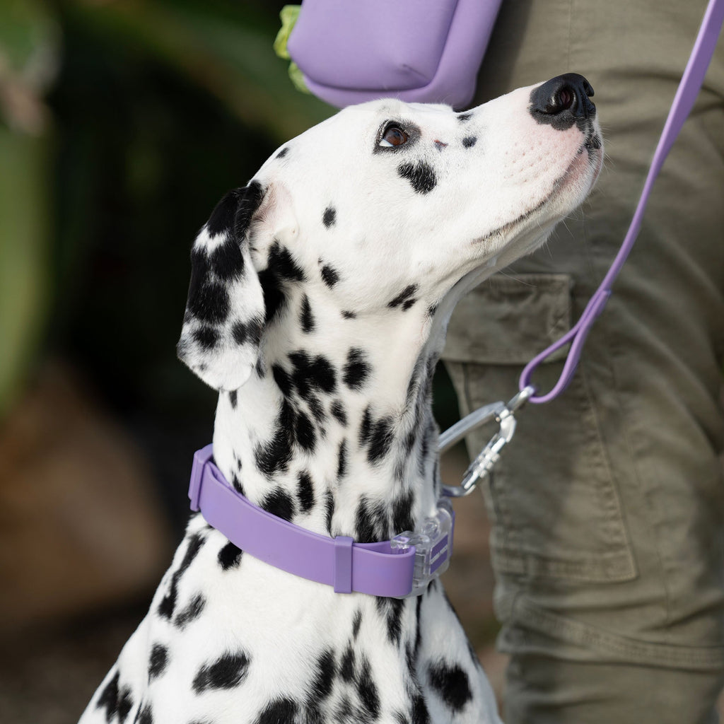 Waterproof Collar - 39C9