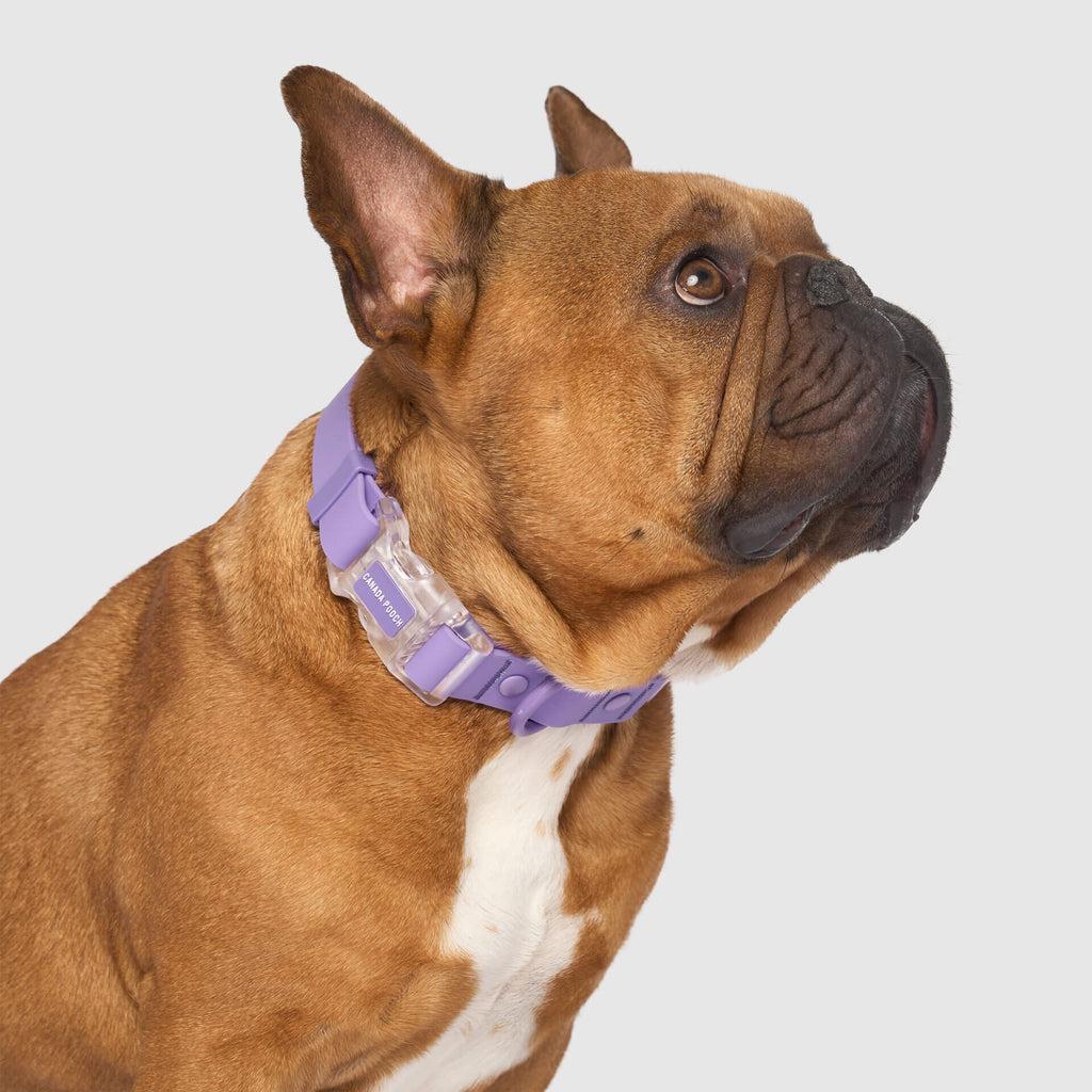 Waterproof Collar - 39C9