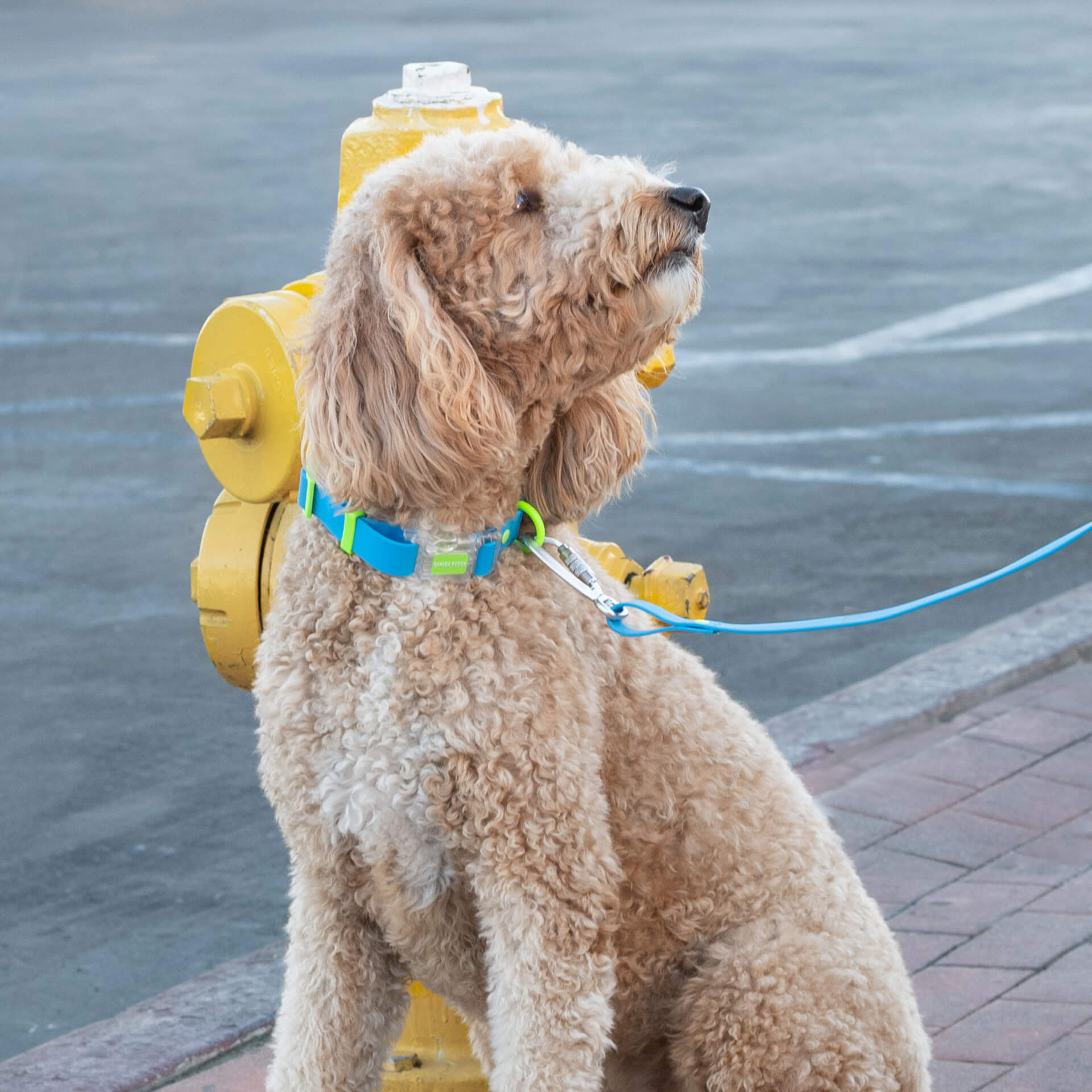 Waterproof Collar - 39C9