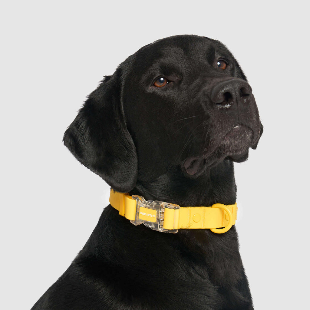 Waterproof Collar - 39C9