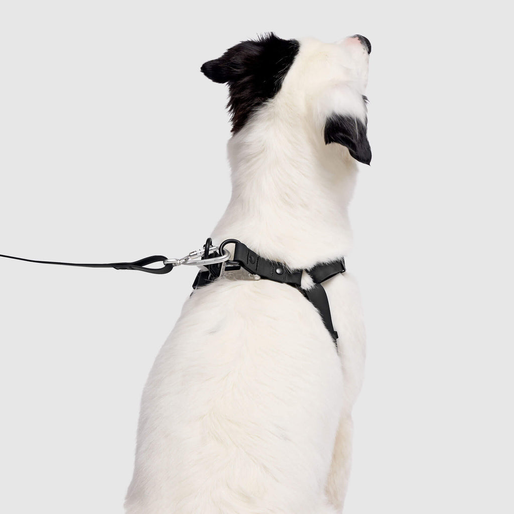 Waterproof Harness - 3AXD